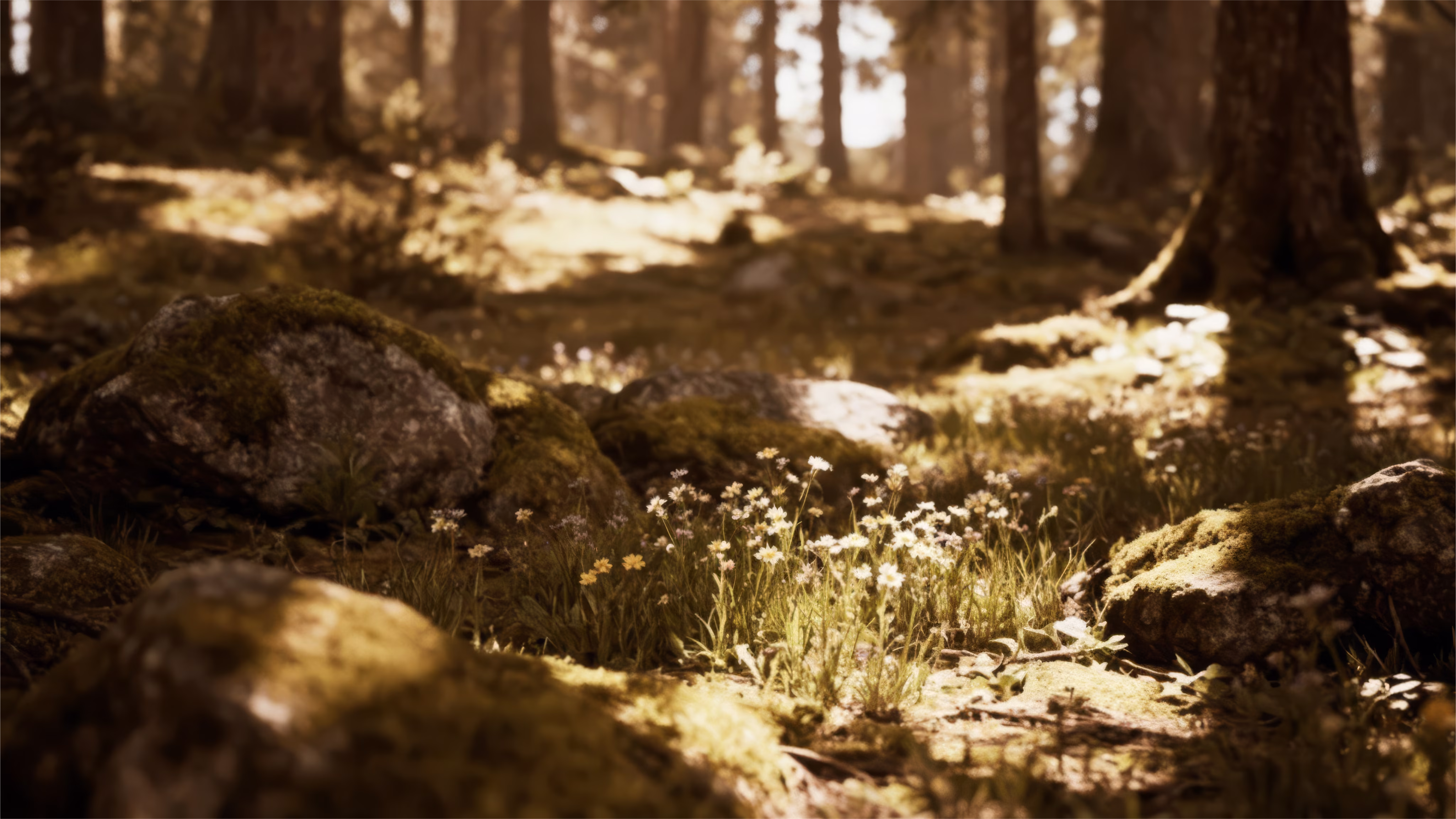 Enhance and upscale content