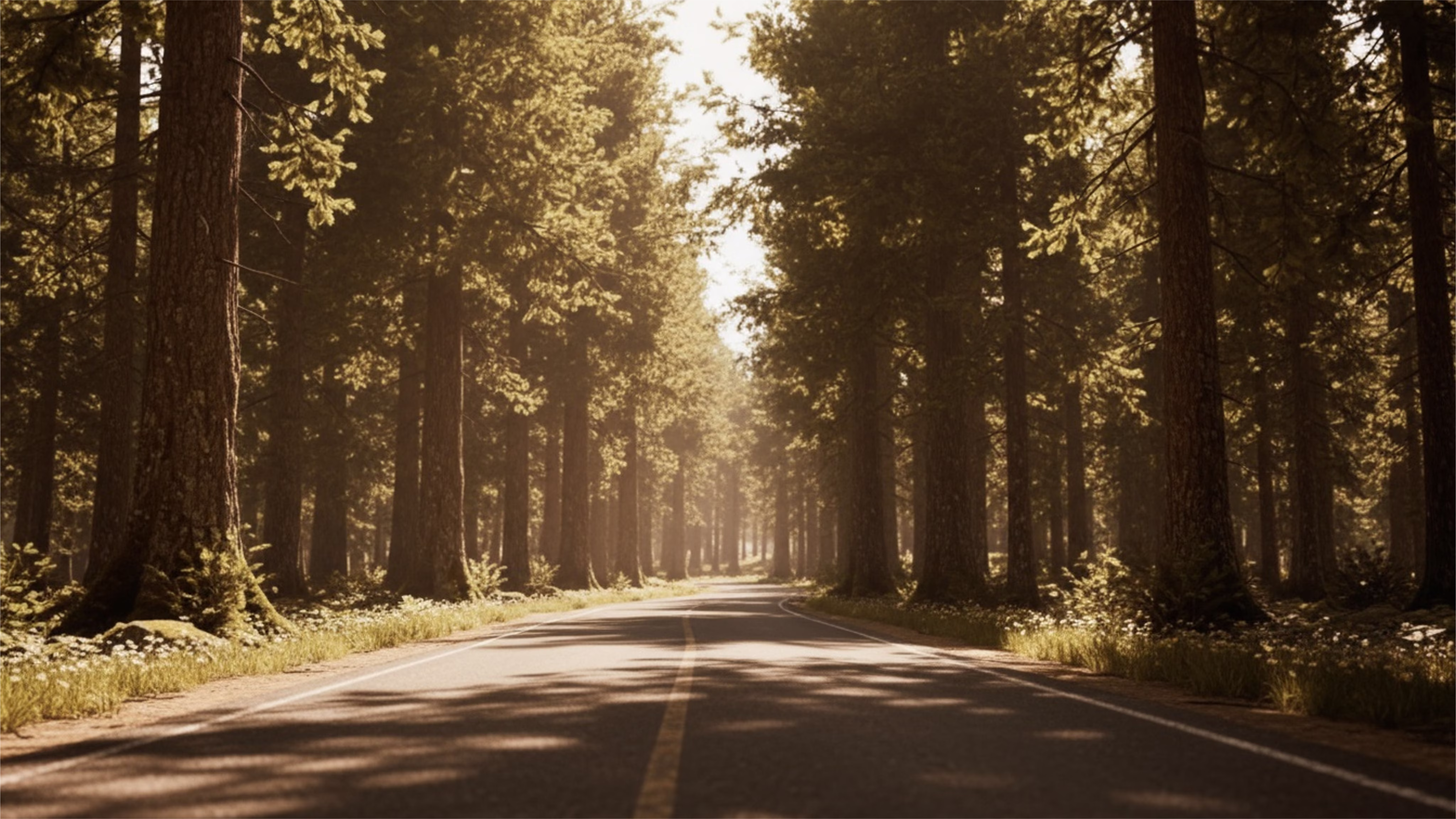 Forest road
